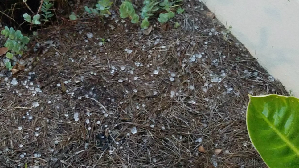 Hail in The Villages on Thursday morning. (Viewer)